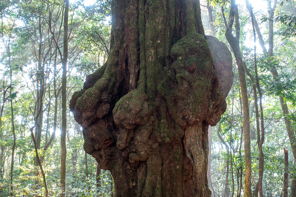 DSC00523.jpg DSC00523.jpg