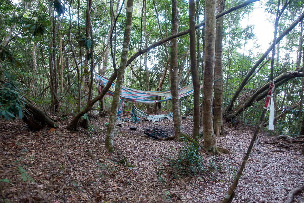 DSC00525.jpg DSC00525.jpg