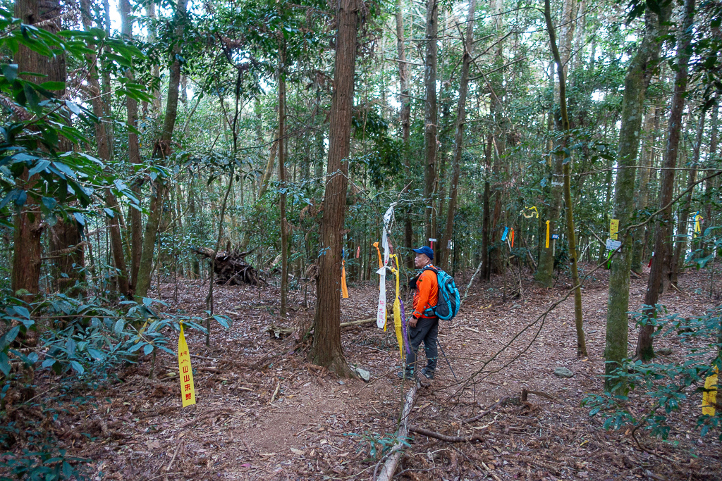 DSC00526.jpg DSC00526.jpg