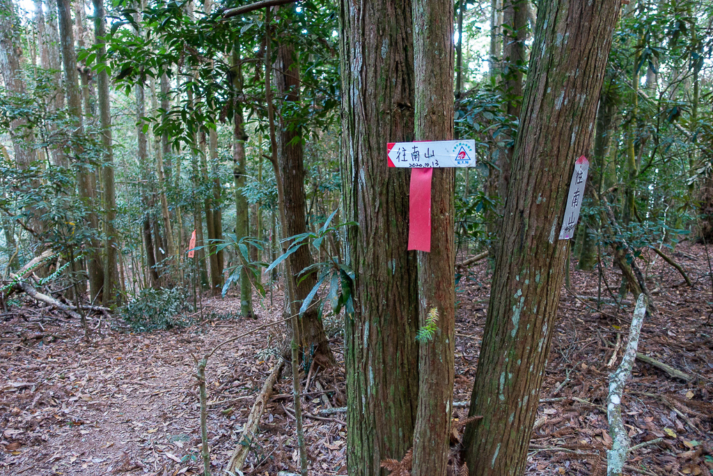 DSC00527.jpg DSC00527.jpg