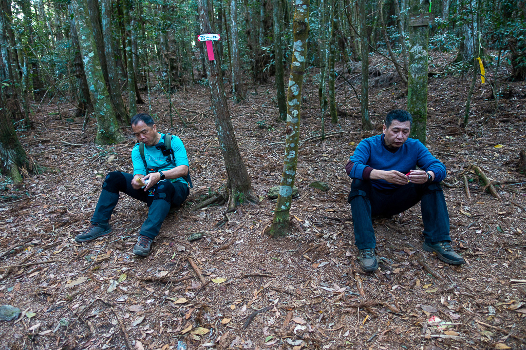 DSC00528.jpg DSC00528.jpg