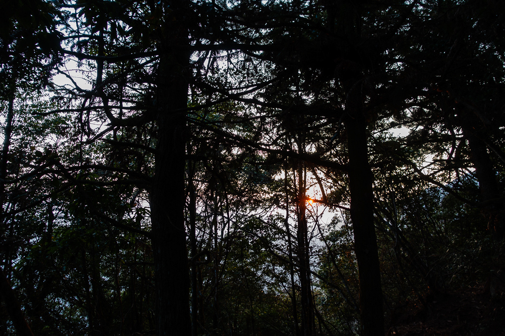 DSC00529.jpg DSC00529.jpg