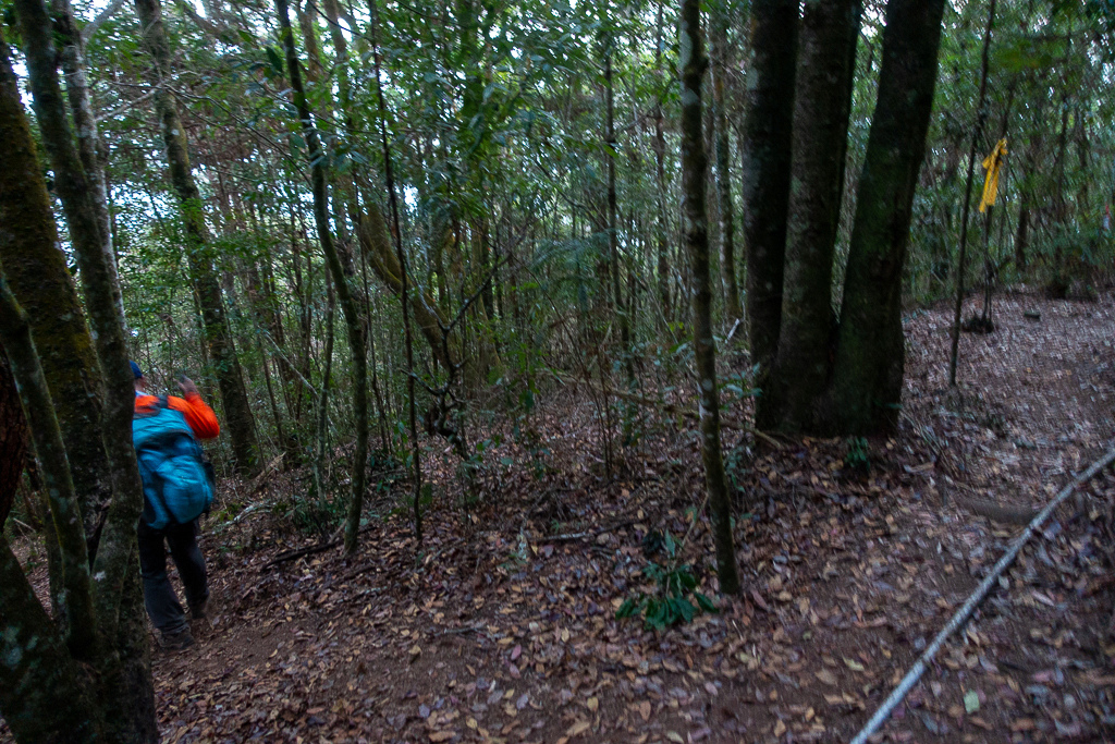 DSC00530.jpg DSC00530.jpg