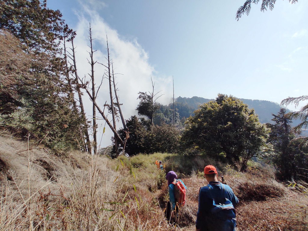 331752394_736980567971793_206057356453729244_n.jpg 331752394_736980567971793_206057356453729244_n.jpg