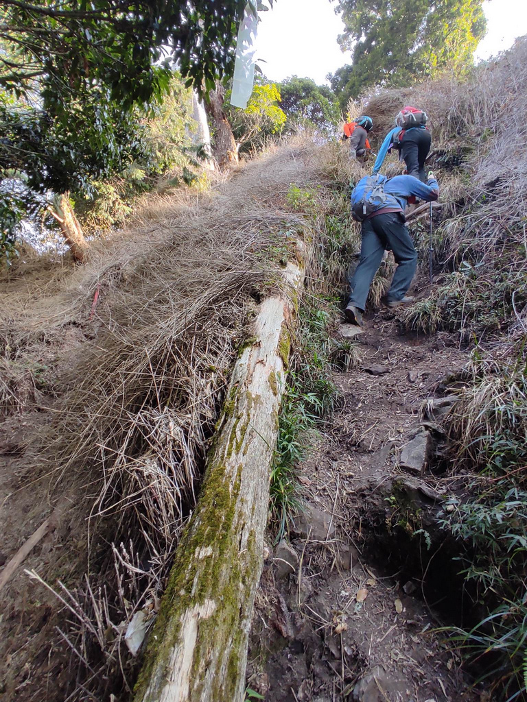 332632361_5542970985803153_3093740511278216924_n.jpg 332632361_5542970985803153_3093740511278216924_n.jpg