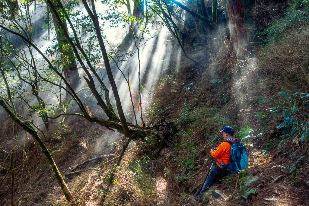 DSC00517-編輯.jpg DSC00517-編輯.jpg