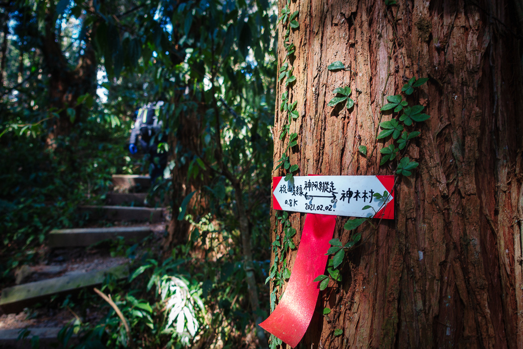 DSC00553-編輯.jpg DSC00553-編輯.jpg