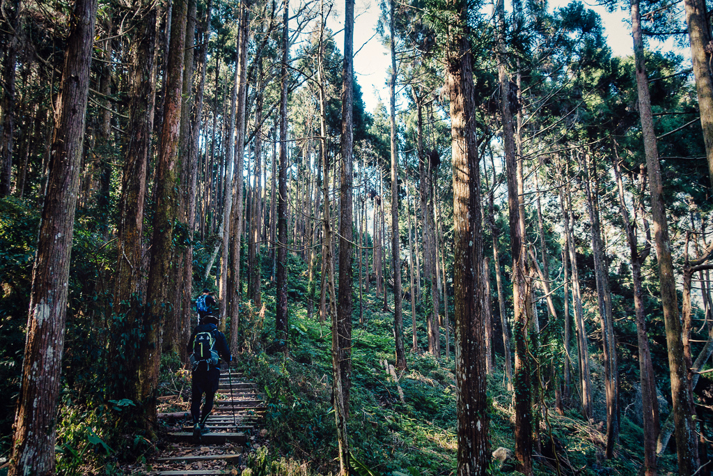 DSC00554-編輯.jpg DSC00554-編輯.jpg