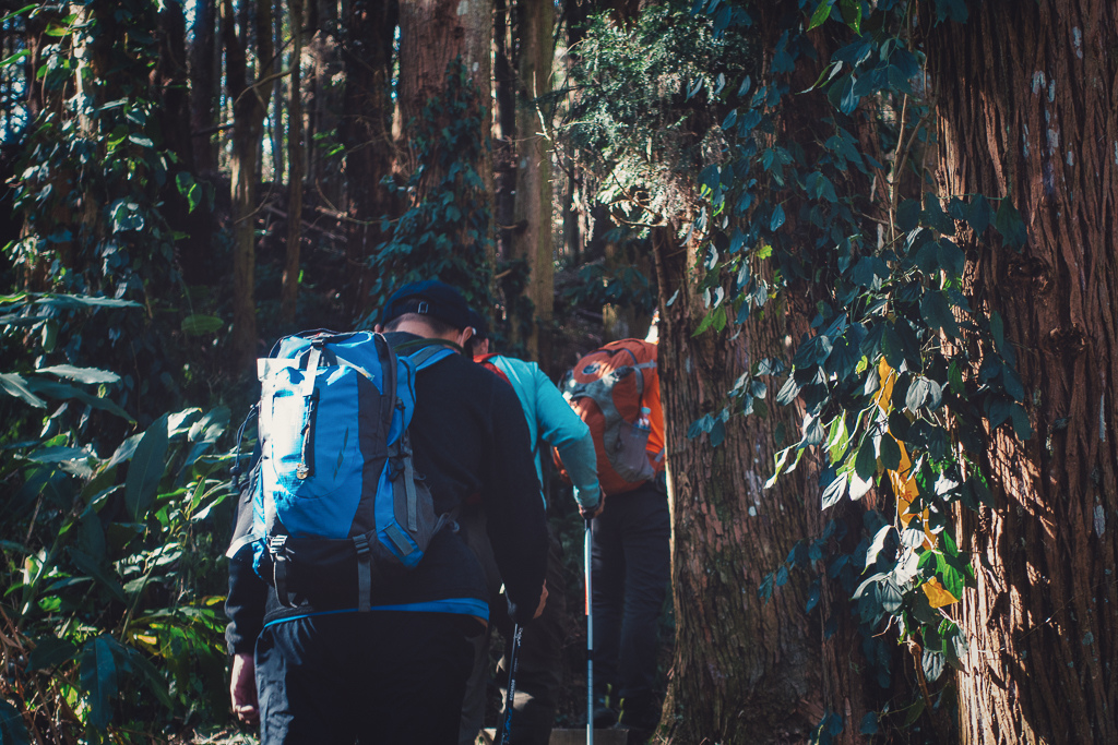 DSC00560-編輯-2.jpg DSC00560-編輯-2.jpg