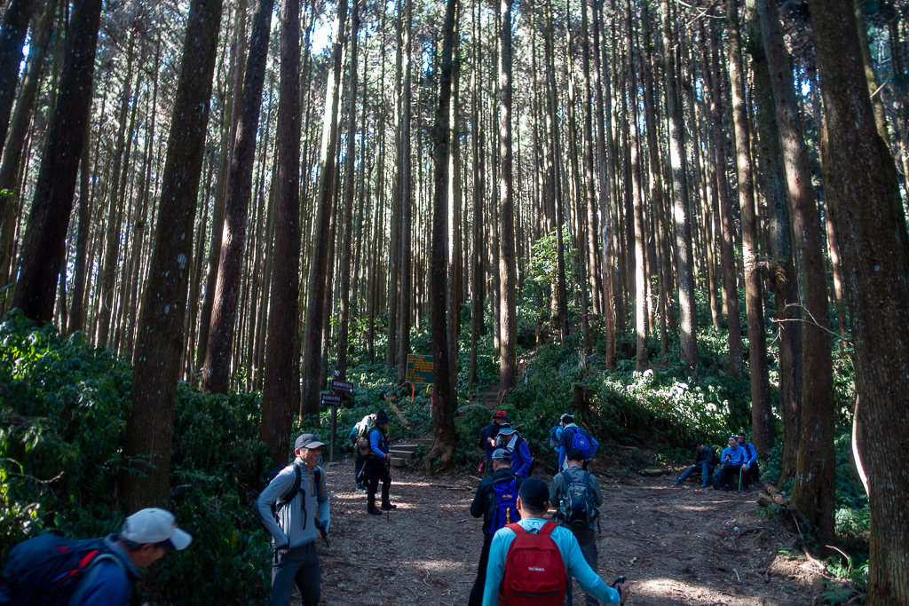 DSC00562.jpg DSC00562.jpg