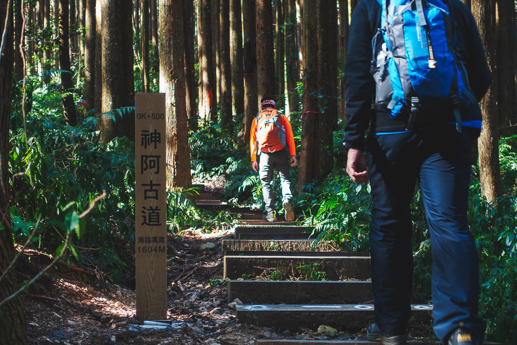 DSC00566-編輯.jpg DSC00566-編輯.jpg