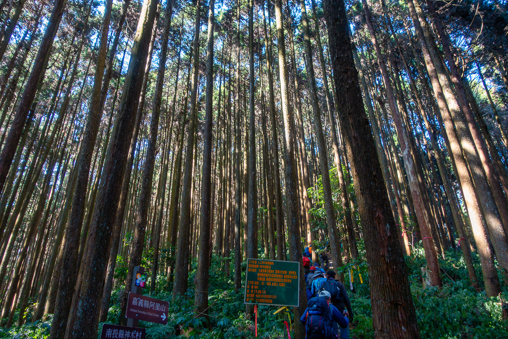 DSC00565-編輯-2.jpg DSC00565-編輯-2.jpg