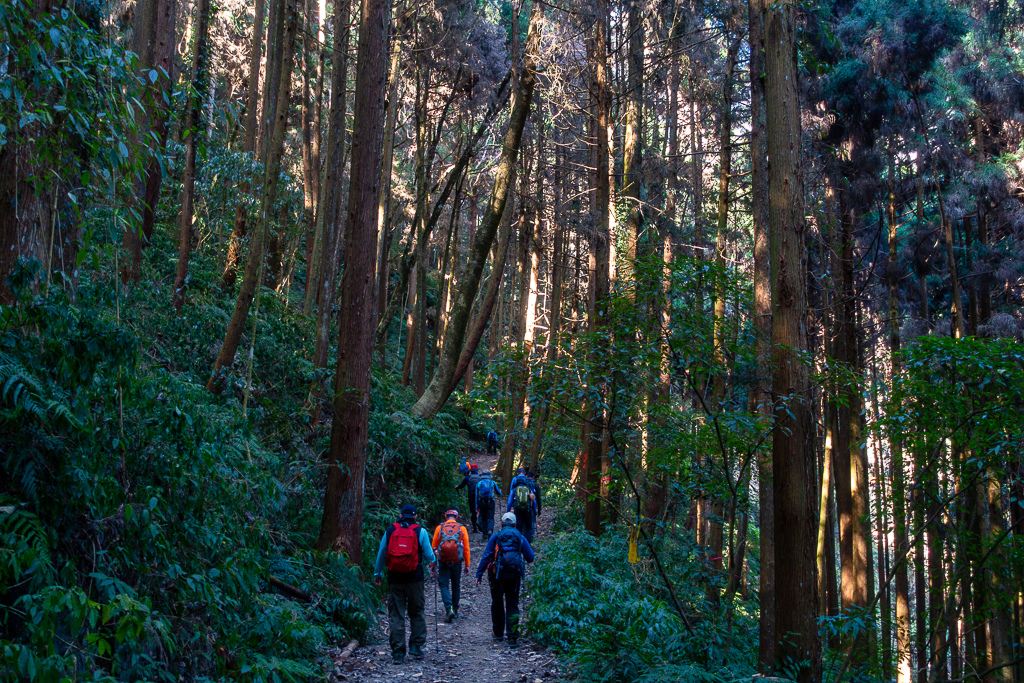 DSC00571-編輯.jpg DSC00571-編輯.jpg