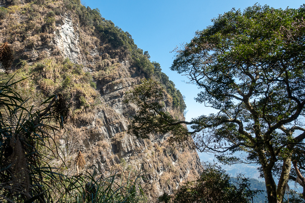 DSC00591.jpg DSC00591.jpg