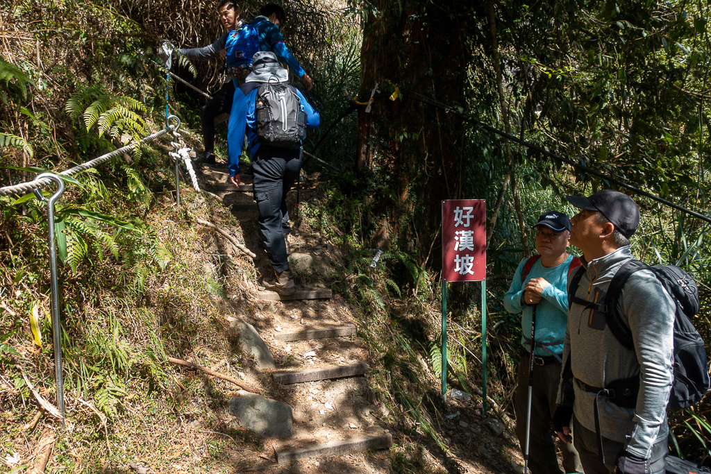 DSC00595.jpg DSC00595.jpg