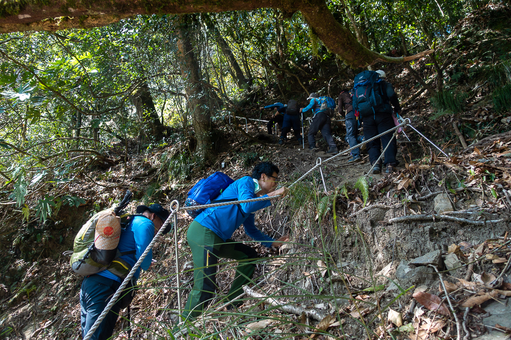 DSC00600.jpg DSC00600.jpg