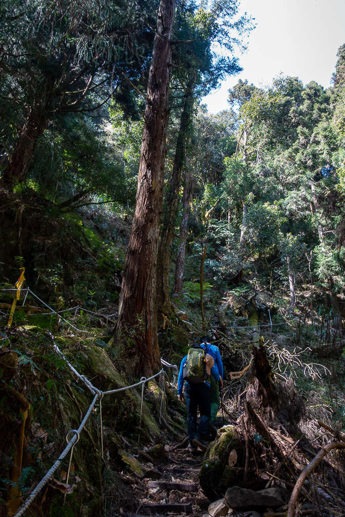 DSC00606.jpg DSC00606.jpg