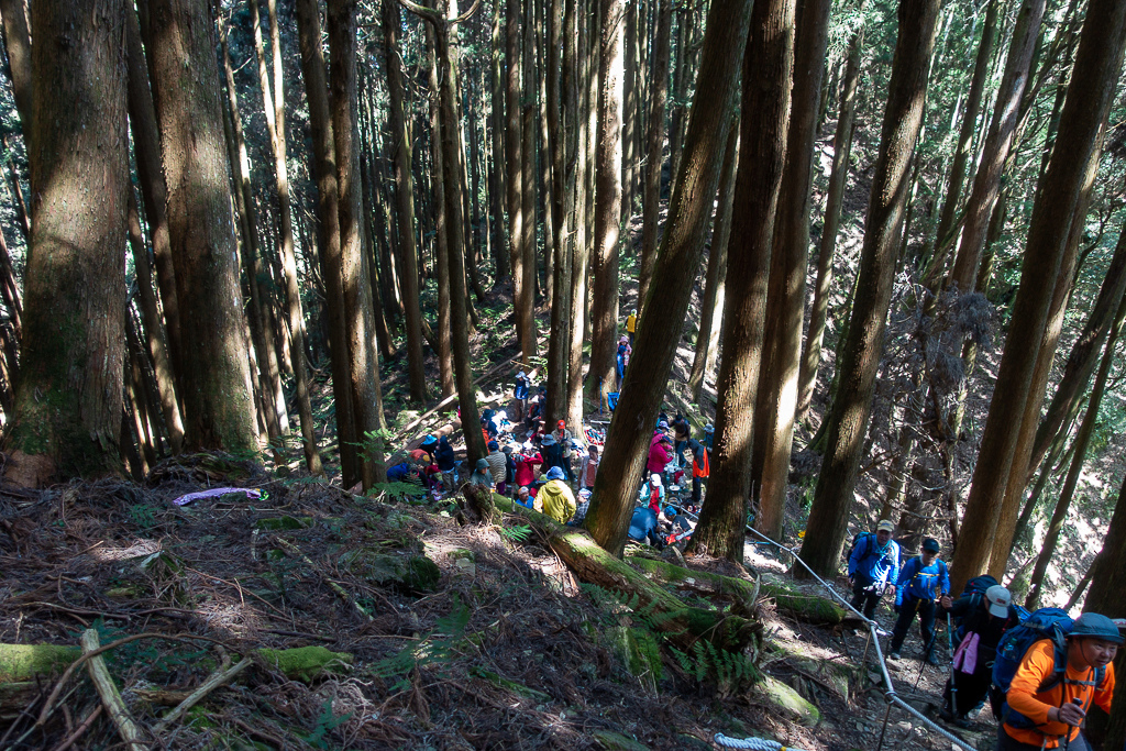 DSC00612.jpg DSC00612.jpg