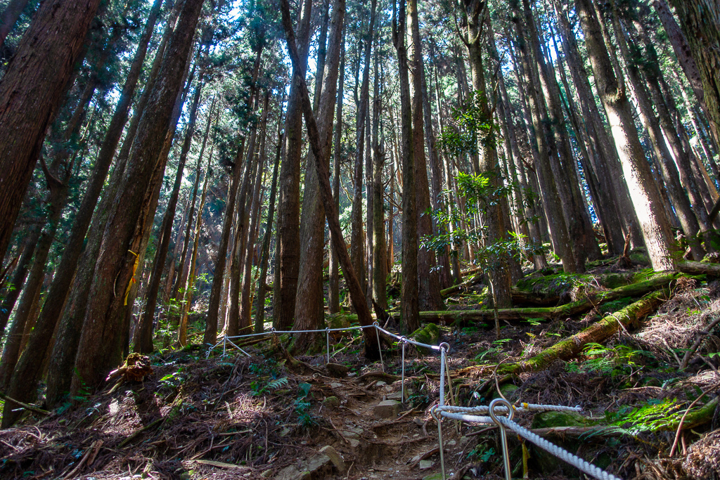 DSC00613-編輯.jpg DSC00613-編輯.jpg