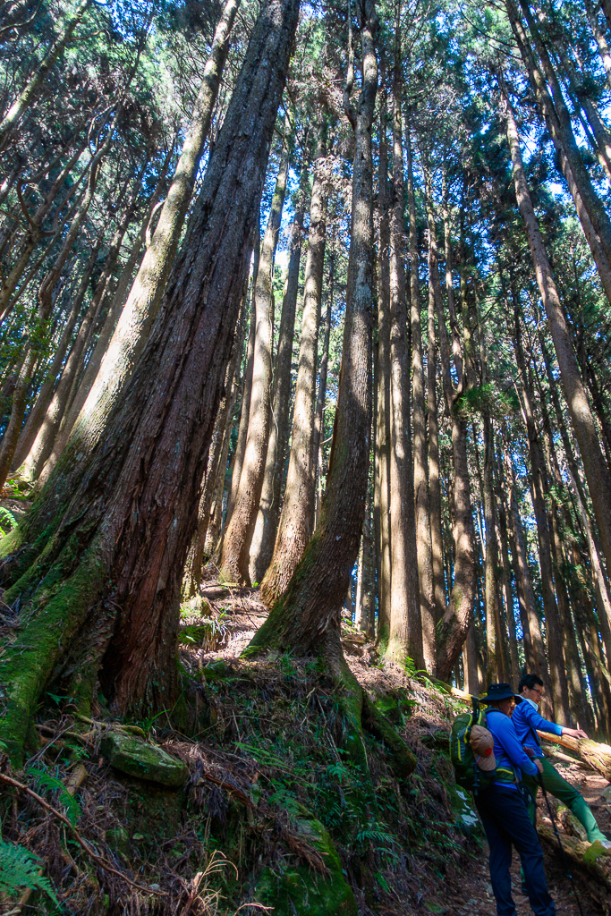 DSC00614-編輯.jpg DSC00614-編輯.jpg