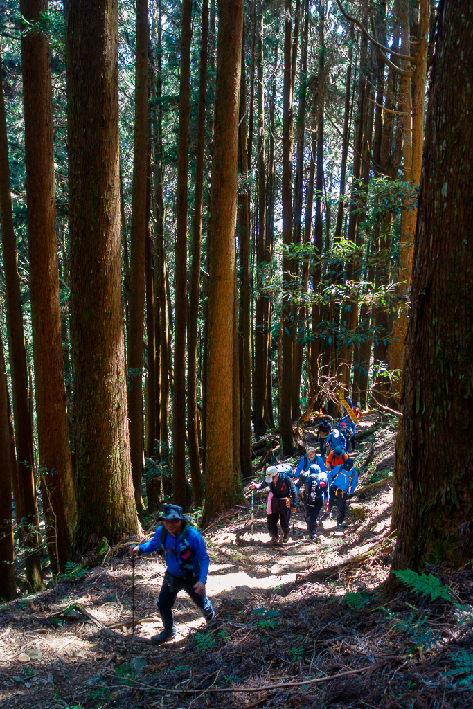 DSC00618-編輯.jpg DSC00618-編輯.jpg