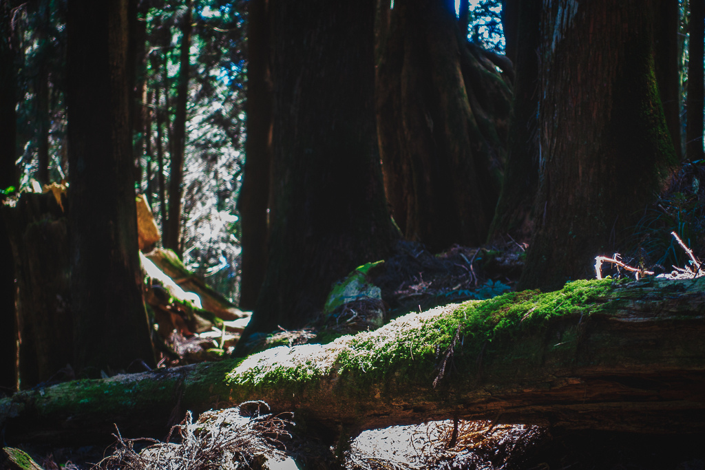 DSC00624-編輯.jpg DSC00624-編輯.jpg