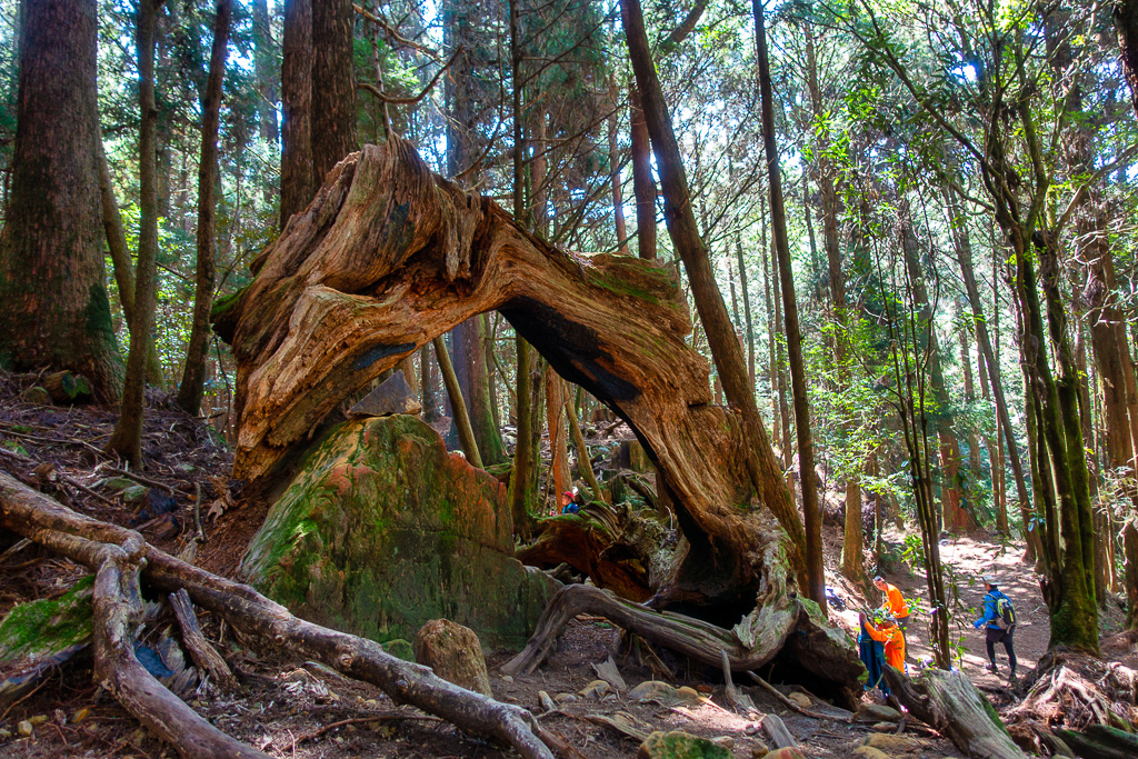 DSC00628-編輯.jpg DSC00628-編輯.jpg