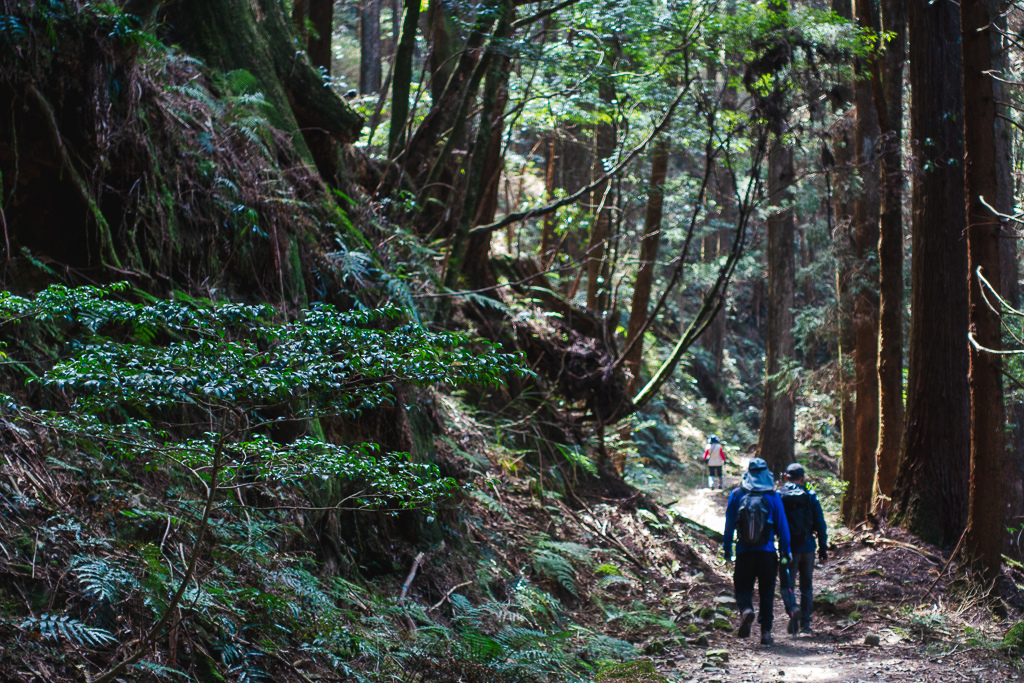 DSC00631-編輯.jpg DSC00631-編輯.jpg