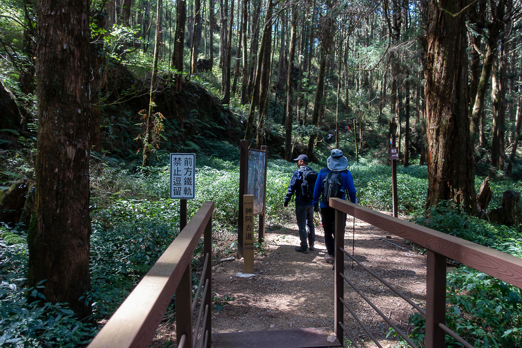 DSC00634.jpg DSC00634.jpg