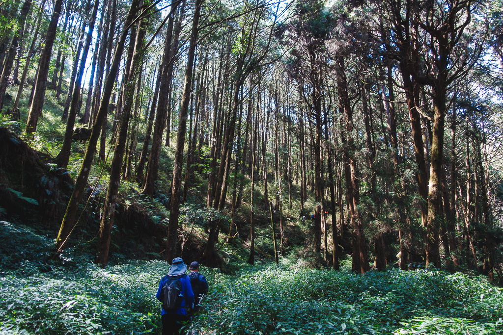 DSC00635-編輯.jpg DSC00635-編輯.jpg