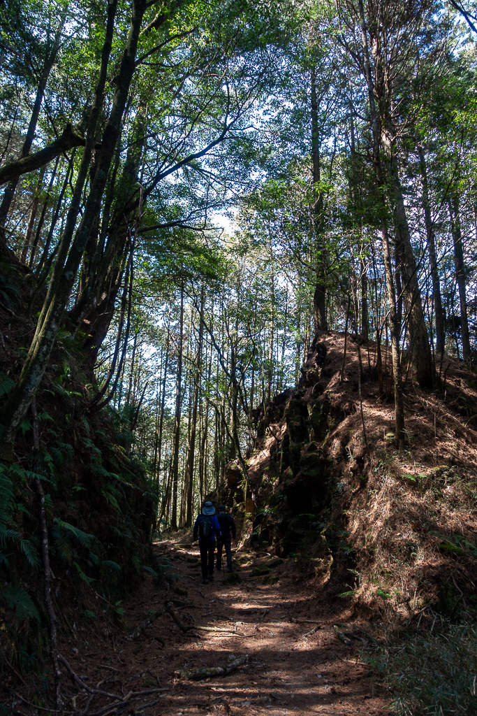 DSC00633.jpg DSC00633.jpg