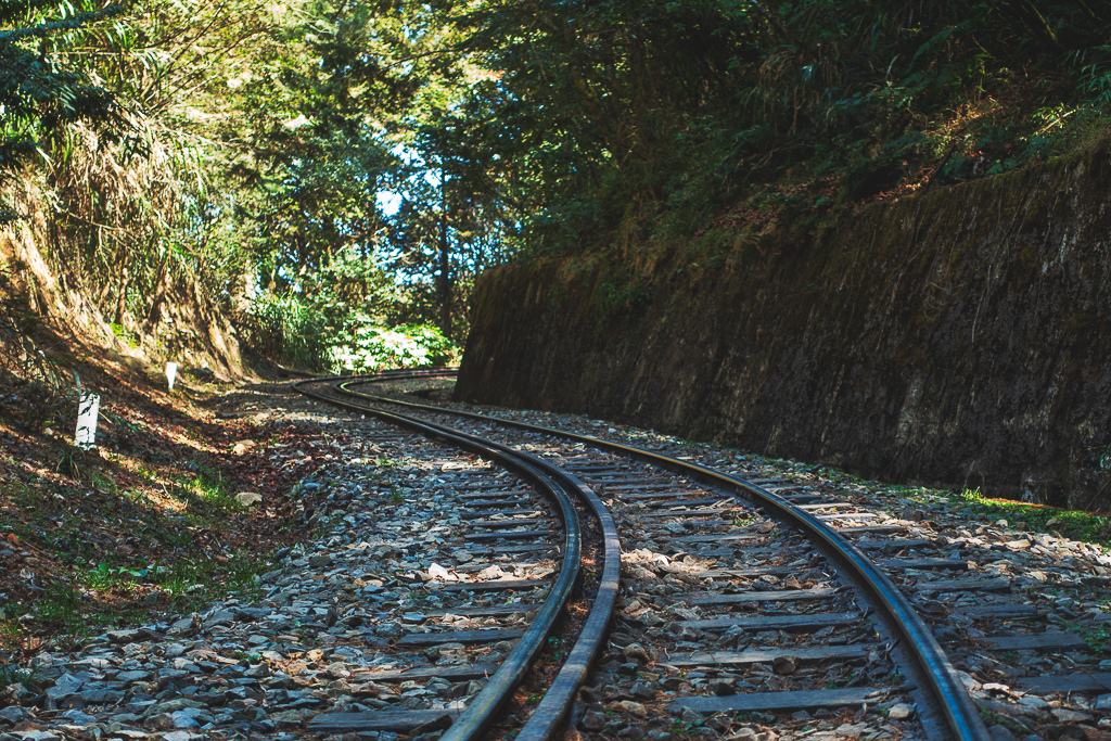 DSC00640-編輯.jpg DSC00640-編輯.jpg