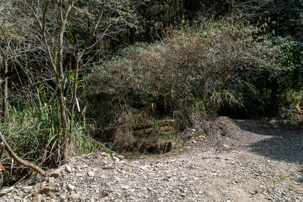 DSC00642.jpg DSC00642.jpg