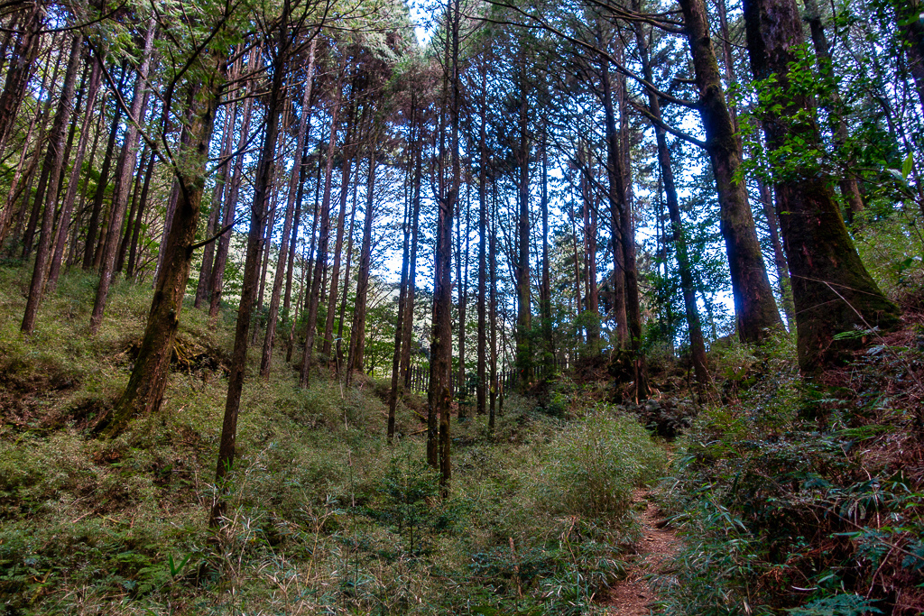 DSC00644-編輯.jpg DSC00644-編輯.jpg