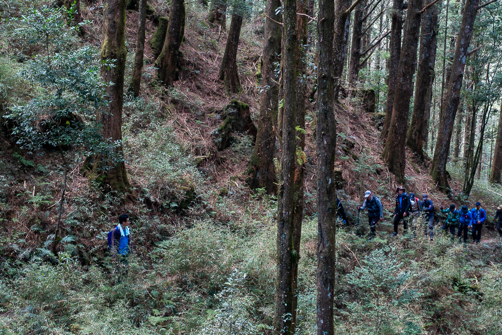 DSC00646.jpg DSC00646.jpg