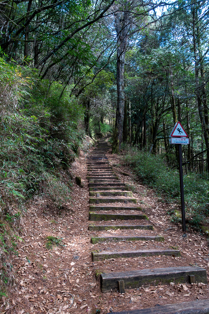 DSC00647.jpg DSC00647.jpg