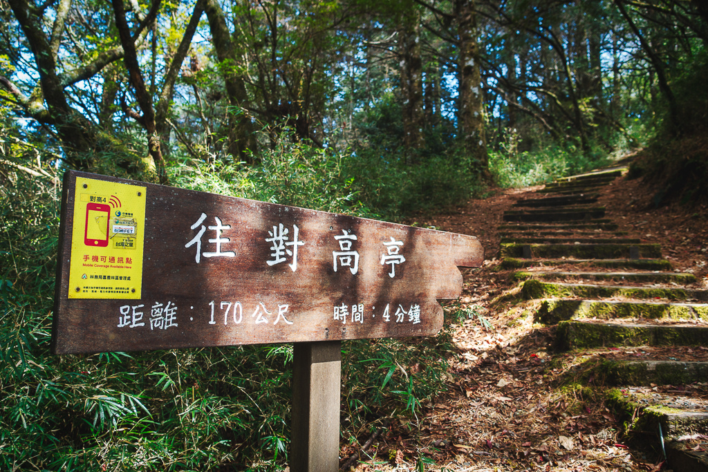 DSC00650-編輯.jpg DSC00650-編輯.jpg