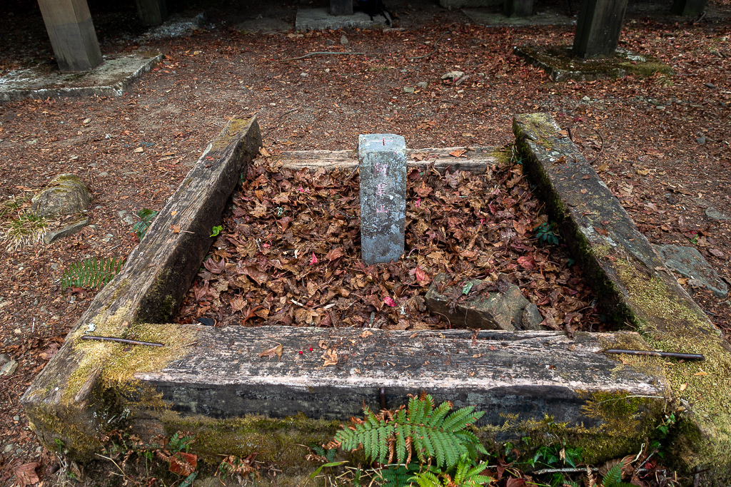 DSC00656.jpg DSC00656.jpg