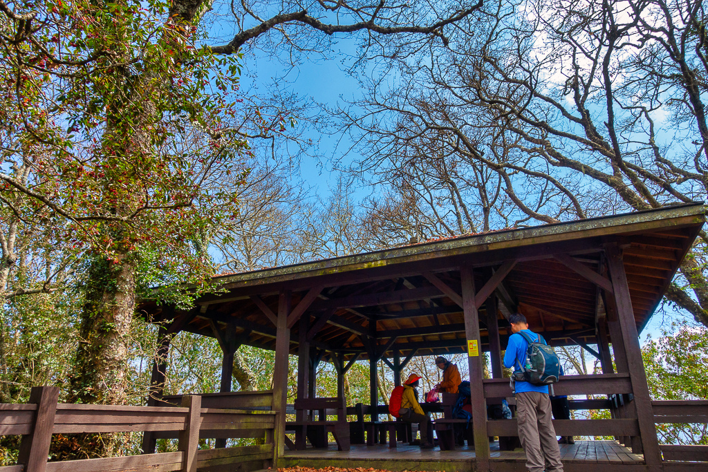 DSC00658-編輯.jpg DSC00658-編輯.jpg