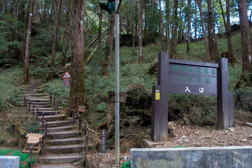 DSC00675.jpg DSC00675.jpg