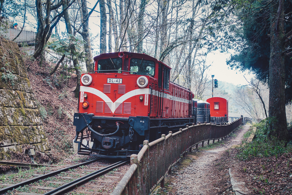 DSC00678-編輯.jpg DSC00678-編輯.jpg