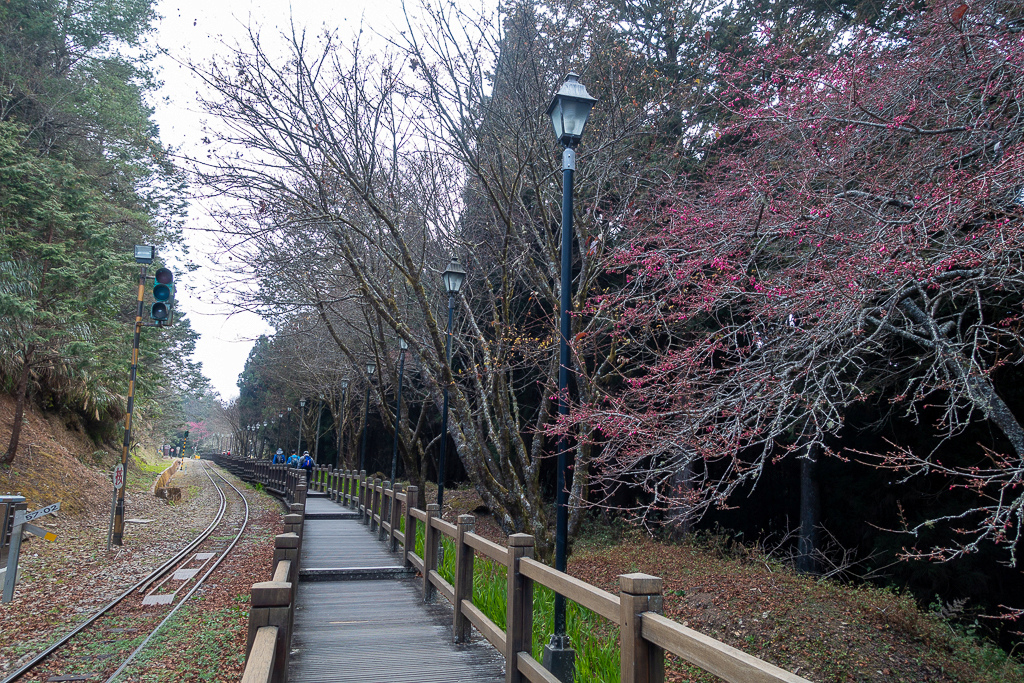 DSC00682.jpg DSC00682.jpg