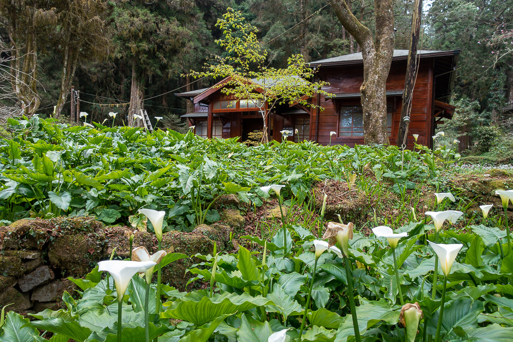 DSC00683.jpg DSC00683.jpg