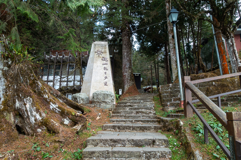 DSC00685.jpg DSC00685.jpg