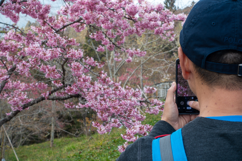 DSC00688.jpg DSC00688.jpg