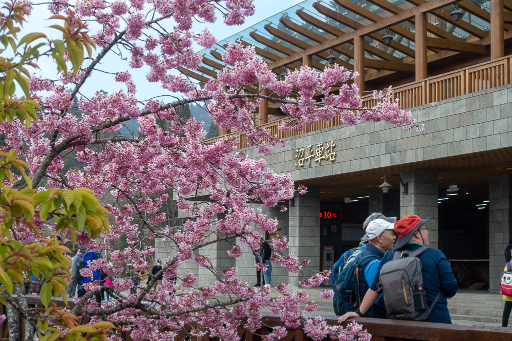 DSC00690.jpg DSC00690.jpg