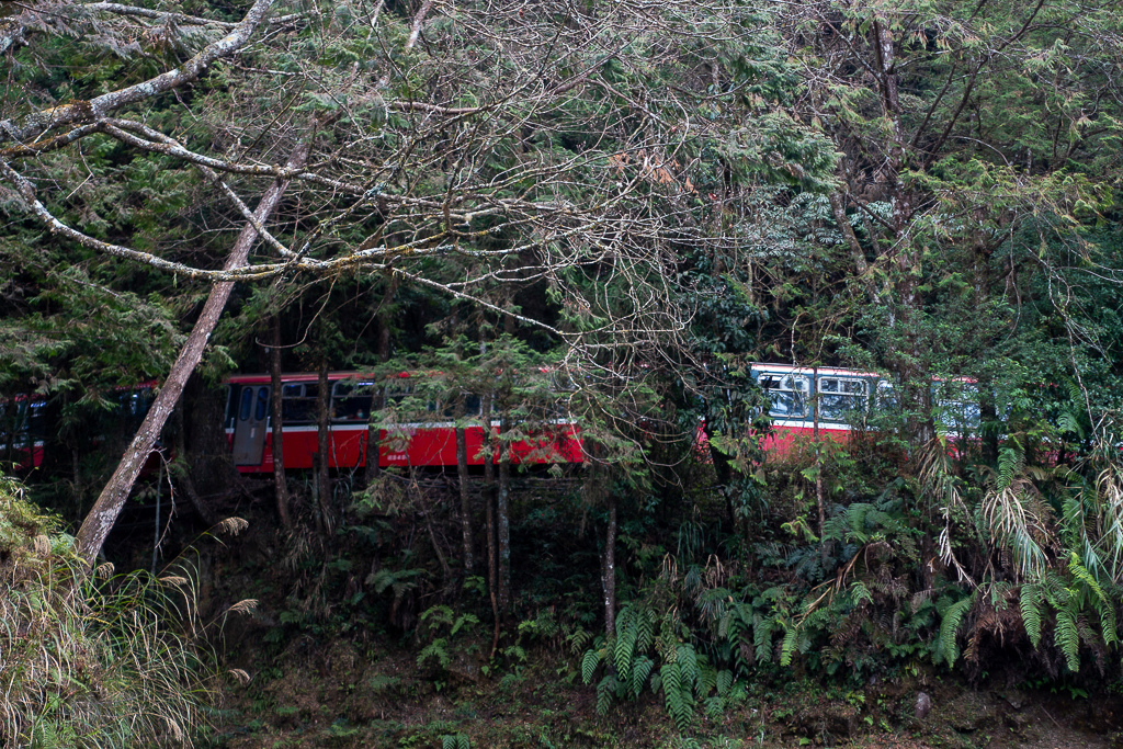 DSC00691.jpg DSC00691.jpg