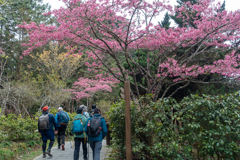 DSC00692.jpg DSC00692.jpg