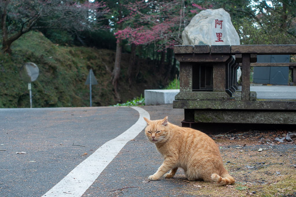 DSC00702.jpg DSC00702.jpg