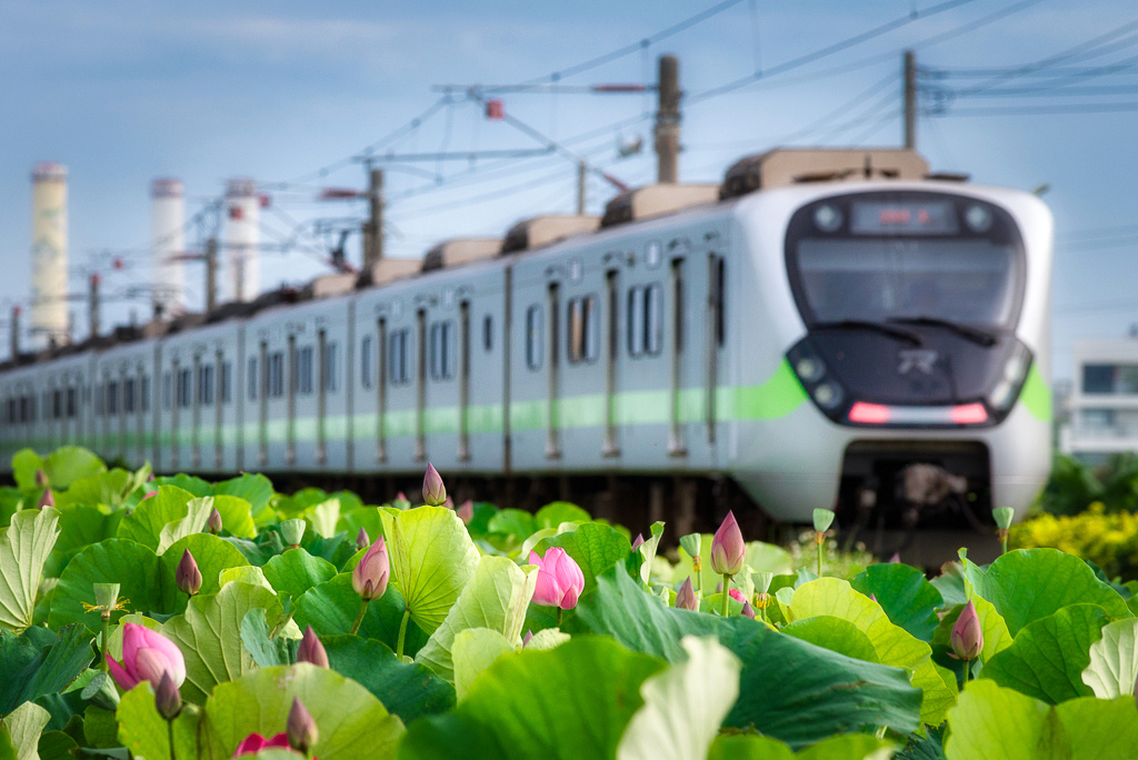 _DSC1552-編輯.jpg _DSC1552-編輯.jpg